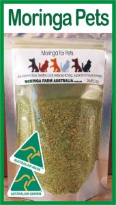 Moringa Pets & Animals