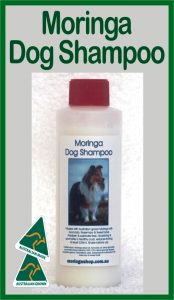 Moringa Farm Australia Moringa Dog (pet) Concentrated Shampoo